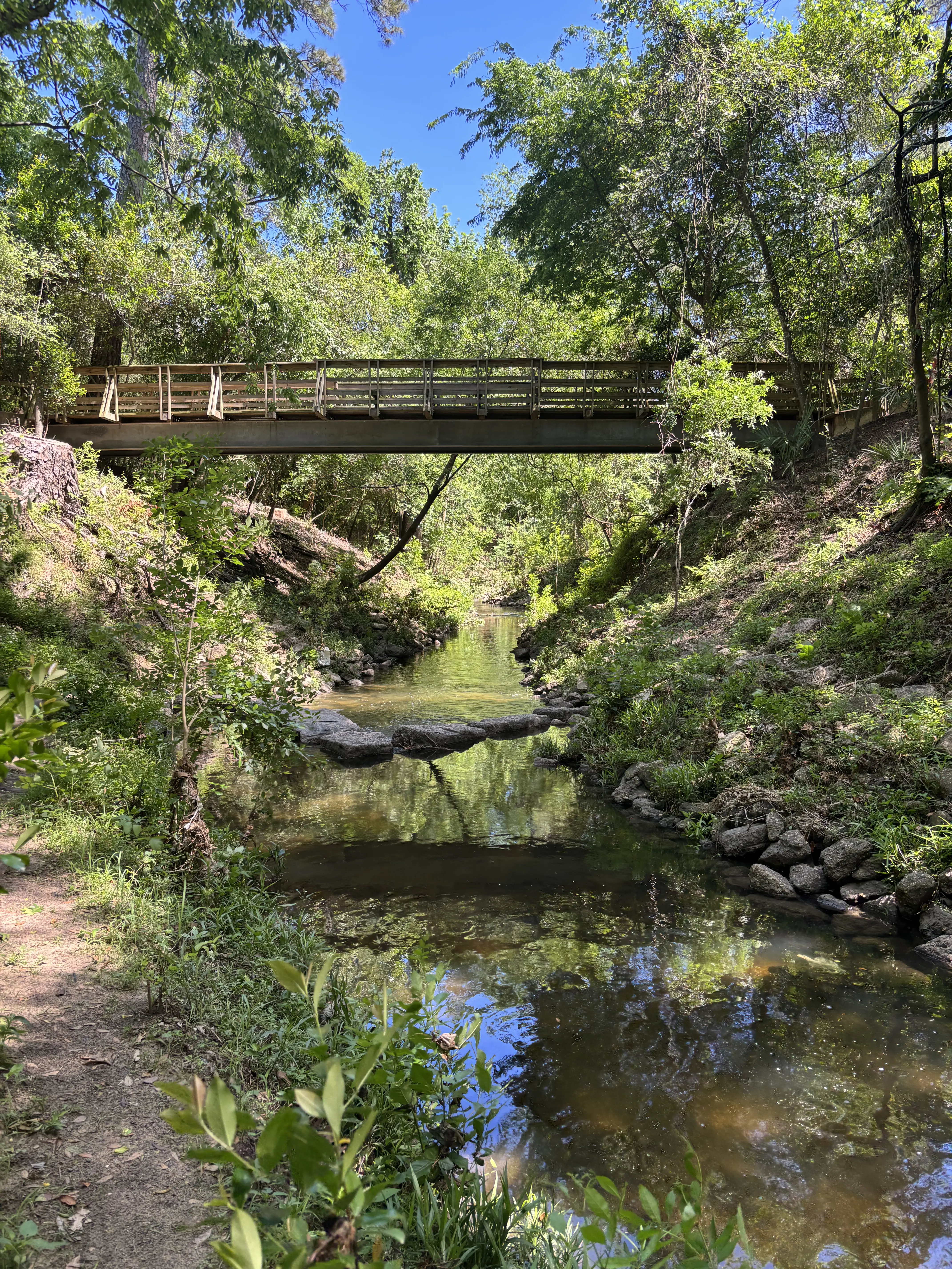 Stream along the trail at Memorial Basecamp near Edith Moore Nature Sanctuary