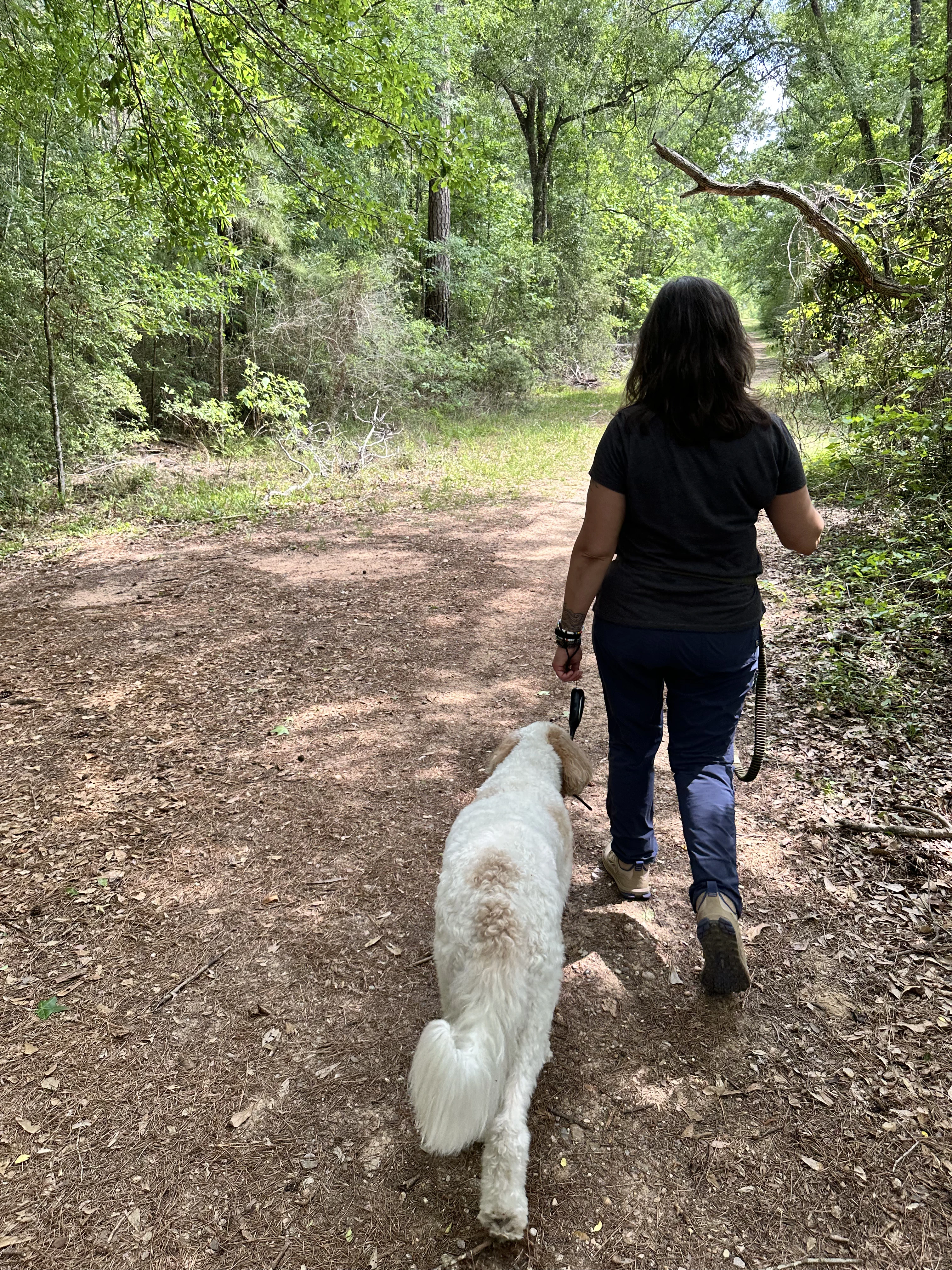 Elizabeth Pennington — therapy at Happy Camper