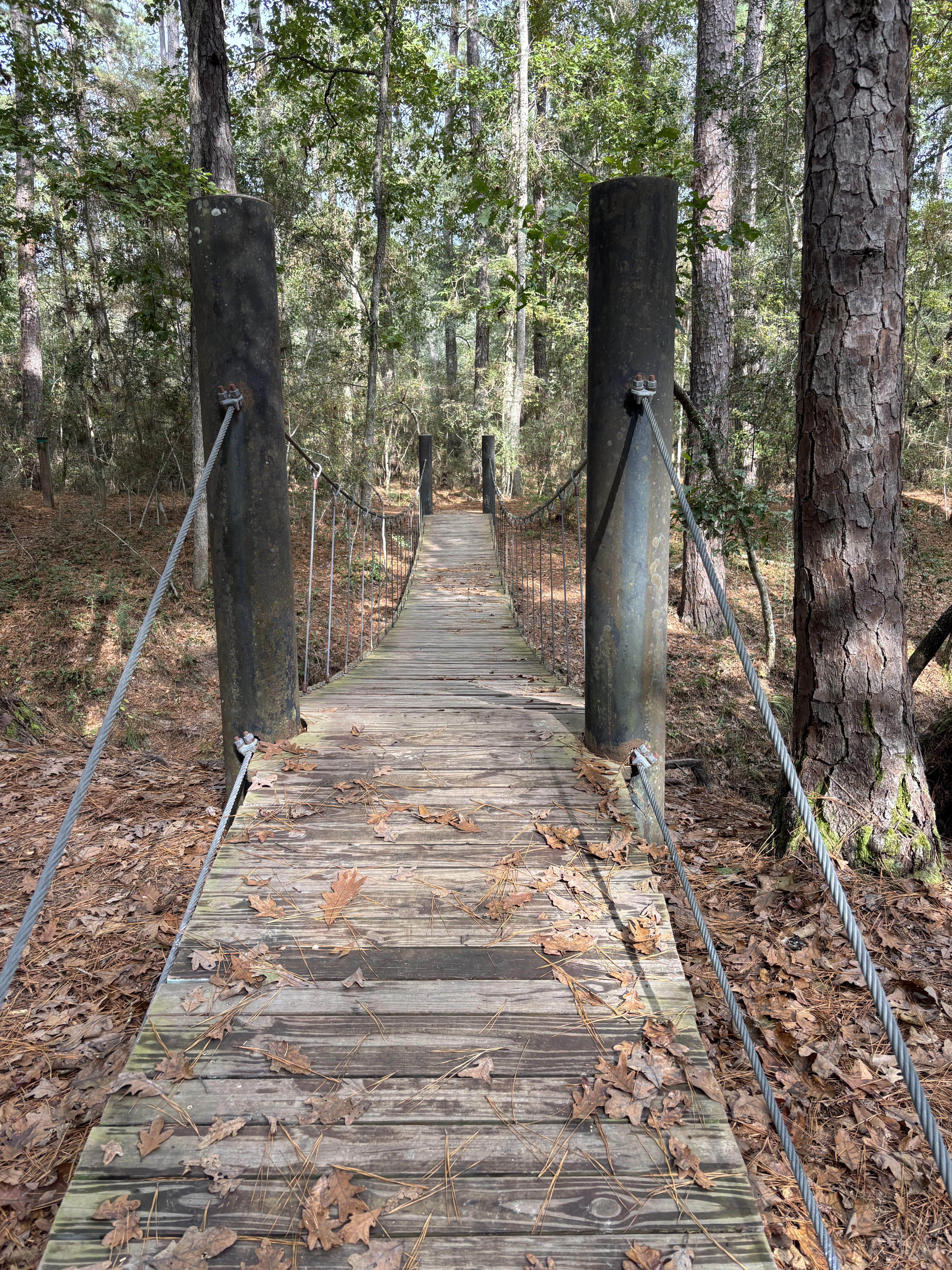 Calm outdoor setting for restorative walk-and-talk therapy