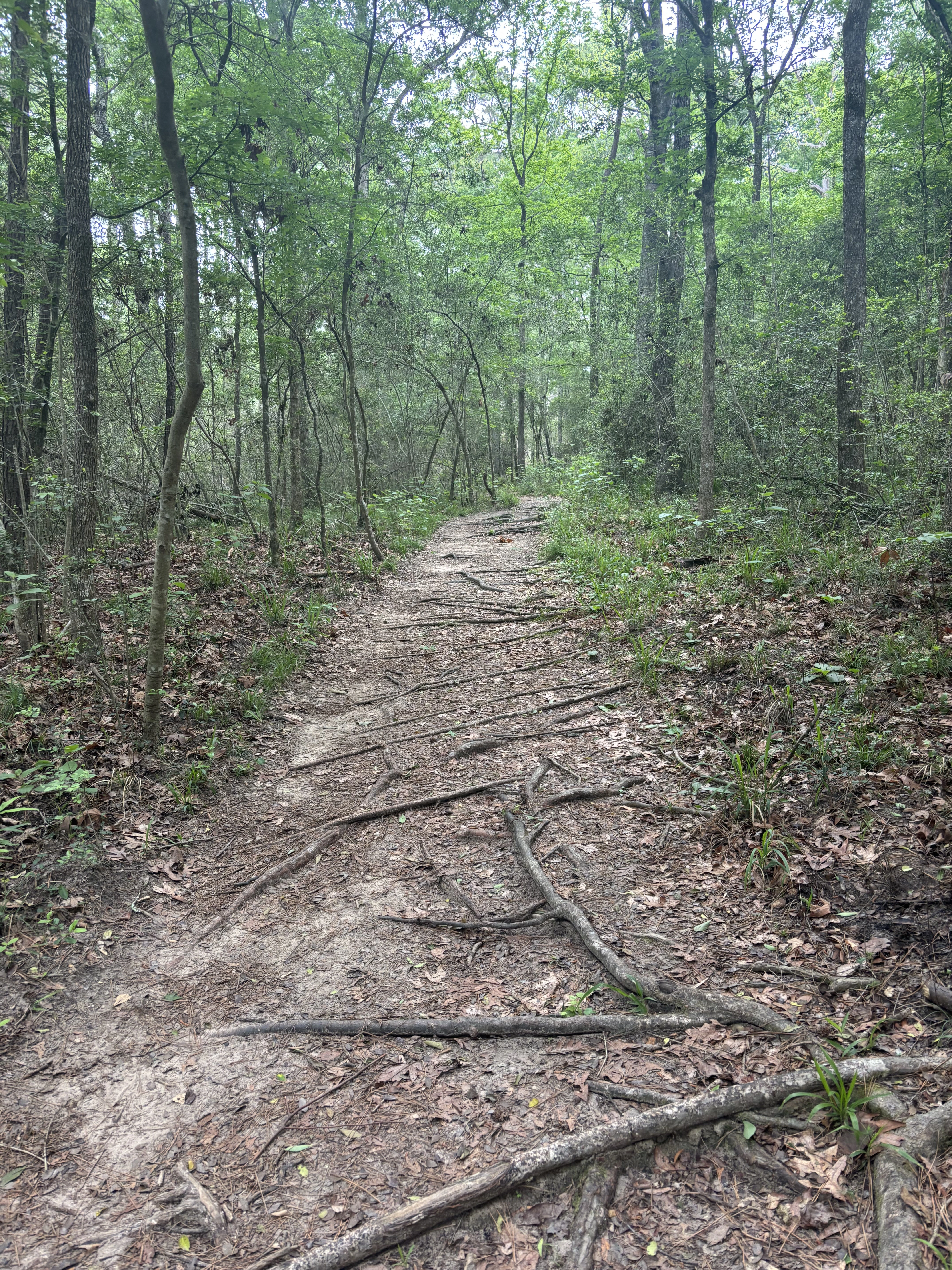Client walking outdoors during a therapy session